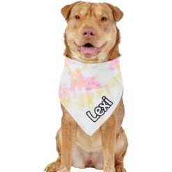 Frisco Tiedye Personalized Dog & Cat Bandana 17 Frisco Tiedye Personalized Dog & Cat Bandana -Frisco Sales Store 267482 PT6. AC SS1800 V1632428490