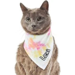 Frisco Tiedye Personalized Dog & Cat Bandana 18 Frisco Tiedye Personalized Dog & Cat Bandana -Frisco Sales Store 267482 PT7. AC SS1800 V1632420107