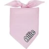 Frisco Solid Pastel Personalized Dog & Cat Bandana 1 Frisco Solid Pastel Personalized Dog & Cat Bandana -Frisco Sales Store 267514 MAIN. AC SS1800 V1701982979