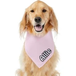 Frisco Solid Pastel Personalized Dog & Cat Bandana 17 Frisco Solid Pastel Personalized Dog & Cat Bandana -Frisco Sales Store 267514 PT6. AC SS1800 V1632417387