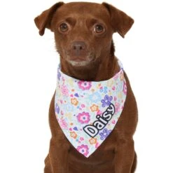 Frisco Bright Floral Personalized Dog & Cat Bandana -Frisco Sales Store 267535 PT7. AC SS1800 V1623164573