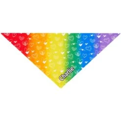 Frisco Rainbow Hearts Personalized Dog & Cat Bandana -Frisco Sales Store 267539 PT2. AC SS1800 V1632687993