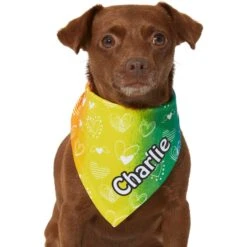 Frisco Rainbow Hearts Personalized Dog & Cat Bandana -Frisco Sales Store 267539 PT5. AC SS1800 V1632432071