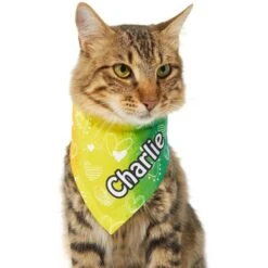 Frisco Rainbow Hearts Personalized Dog & Cat Bandana -Frisco Sales Store 267539 PT6. AC SS1800 V1632420703