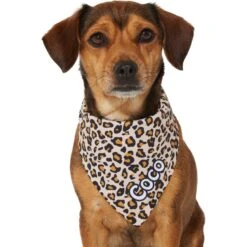 Frisco Leopard Print Personalized Dog & Cat Bandana 16 Frisco Leopard Print Personalized Dog & Cat Bandana -Frisco Sales Store 267543 PT7. AC SS1800 V1623164552
