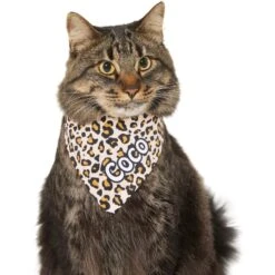 Frisco Leopard Print Personalized Dog & Cat Bandana 17 Frisco Leopard Print Personalized Dog & Cat Bandana -Frisco Sales Store 267543 PT8. AC SS1800 V1623164342