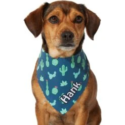 Frisco Cactus Personalized Dog & Cat Bandana -Frisco Sales Store 267551 PT7. AC SS1800 V1623164614