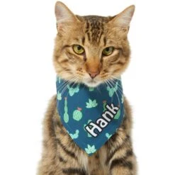 Frisco Cactus Personalized Dog & Cat Bandana -Frisco Sales Store 267551 PT8. AC SS1800 V1623164657