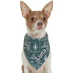Frisco Boho Geo Personalized Dog & Cat Bandana -Frisco Sales Store 267559 PT7. AC SS1800 V1623164863
