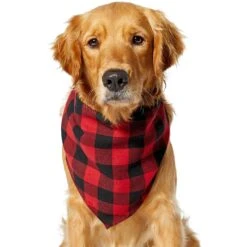 Red Buffalo Plaid Dog & Cat Bandana -Frisco Sales Store 267899 PT2. AC SS1800 V1637649415