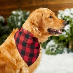 Red Buffalo Plaid Dog & Cat Bandana -Frisco Sales Store 267899 PT5. AC SS1800 V1637666506