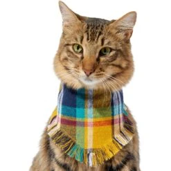 Frisco Blue/Yellow Plaid Dog & Cat Flannel Bandana -Frisco Sales Store 267901 PT3. AC SS1800 V1637677287