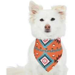 Frisco Southwest Dog & Cat Bandana -Frisco Sales Store 267904 PT2. AC SS1800 V1637708793