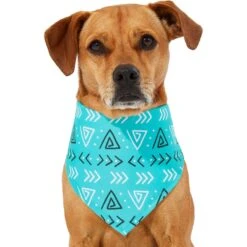 Frisco Geometric Dog & Cat Bandana -Frisco Sales Store 267907 PT2. AC SS1800 V1637653589