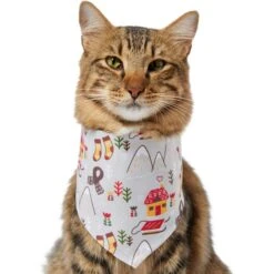 Frisco Wintry Vibes Dog & Cat Bandana -Frisco Sales Store 267916 PT3. AC SS1800 V1637657814