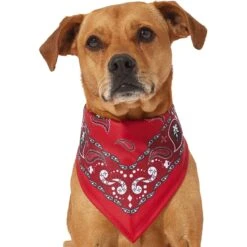 Frisco Red Paisley Dog & Cat Bandana -Frisco Sales Store 267919 PT2. AC SS1800 V1637669854