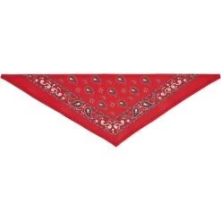 Frisco Red Paisley Dog & Cat Bandana -Frisco Sales Store 267919 PT4. AC SS1800 V1637674037