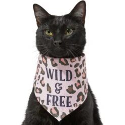 Frisco Pink Leopard Dog & Cat Bandana 13 Frisco Pink Leopard Dog & Cat Bandana -Frisco Sales Store 267922 PT3. AC SS1800 V1637687868