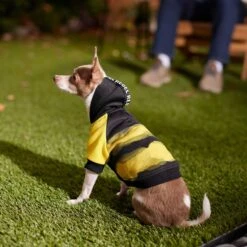 Frisco Rebel Dog & Cat Hoodie -Frisco Sales Store 267994 PT6. AC SS1800 V1637730463