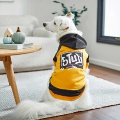 Frisco Stud Dog & Cat Hoodie -Frisco Sales Store 268002 PT6. AC SS1800 V1637680076