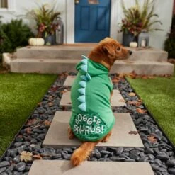 Frisco Doggiesaurus Dog & Cat Hoodie, Green -Frisco Sales Store 268033 PT6. AC SS1800 V1637671011