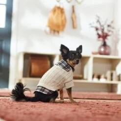 Frisco Cream Cable Knit Dog & Cat Sweater, White/Red Plaid -Frisco Sales Store 268057 PT8. AC SS1800 V1629766069