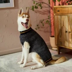 Frisco Heathered Knit Dog & Cat Sweater With 60% Recycled Content 15 Frisco Heathered Knit Dog & Cat Sweater With 60% Recycled Content -Frisco Sales Store 268159 PT8. AC SS1800 V1629758773