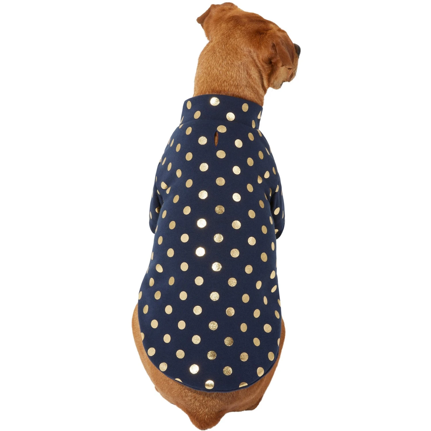 Frisco Lightweight Gold Dotted Dog & Cat Jacket, Navy 3 Frisco Lightweight Gold Dotted Dog & Cat Jacket, Navy