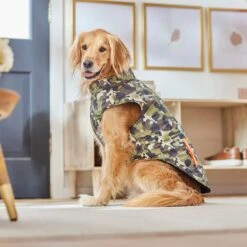 Frisco Mediumweight Camo Print Insulated Dog & Cat Zippered Coat, Green -Frisco Sales Store 268295 PT8. AC SS1800 V1629755320