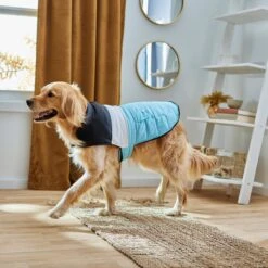 Frisco Mediumweight Colorblock Insulated Dog & Cat Puffer Coat With Pocket, Blue -Frisco Sales Store 268311 PT8. AC SS1800 V1629766581