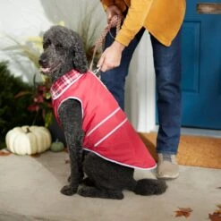 Frisco Mediumweight Reflective Water-Resistant Insulated Dog & Cat Coat 15 Frisco Mediumweight Reflective Water-Resistant Insulated Dog & Cat Coat -Frisco Sales Store 268342 PT8. AC SS1800 V1629764397