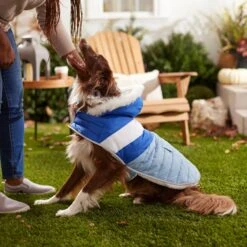 Frisco Heavyweight Chevron Insulated Dog & Cat Parka With Pocket 15 Frisco Heavyweight Chevron Insulated Dog & Cat Parka With Pocket -Frisco Sales Store 268405 PT8. AC SS1800 V1629766395