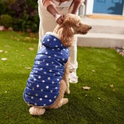 Frisco Mediumweight Metallic Star Print Insulated Dog & Cat Parka, Navy -Frisco Sales Store 268413 PT8. AC SS1800 V1629757357