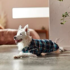 Frisco Multi-Plaid Dog & Cat Flannel Shirt -Frisco Sales Store 268588 PT8. AC SS1800 V1629755804