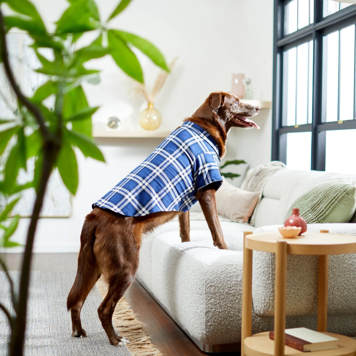 Frisco Navy Plaid Dog & Cat Flannel Shirt 11 Frisco Navy Plaid Dog & Cat Flannel Shirt - Image 9