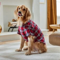 Frisco Red Plaid Dog & Cat Shirt -Frisco Sales Store 268604 PT8. AC SS1800 V1629757681