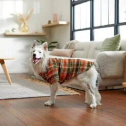 Frisco Orange & Olive Plaid Dog & Cat Flannel Shirt 19 Frisco Orange & Olive Plaid Dog & Cat Flannel Shirt -Frisco Sales Store 268612 PT8. AC SS1800 V1629759992