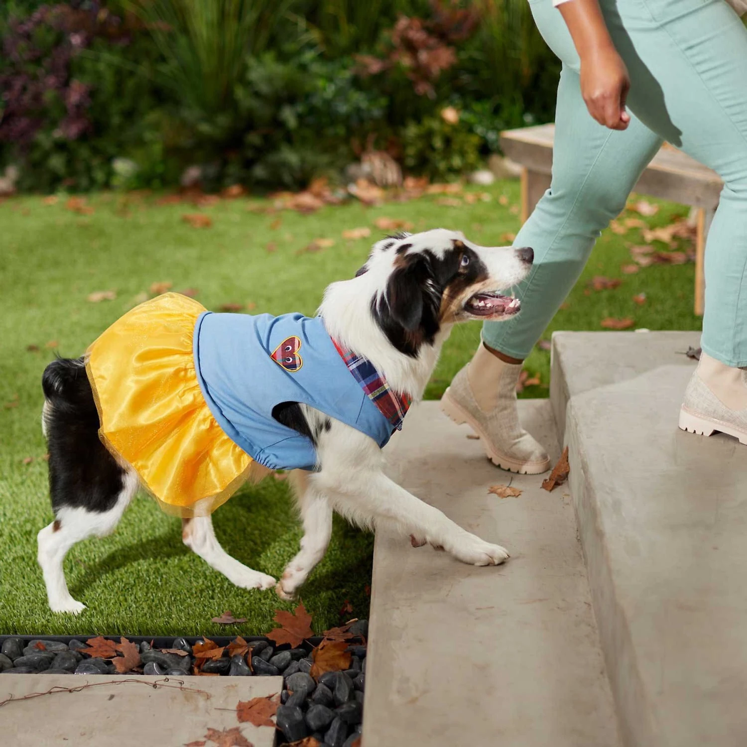 Frisco Chambray Plaid Dog & Cat Dress 9 Frisco Chambray Plaid Dog & Cat Dress - Image 7