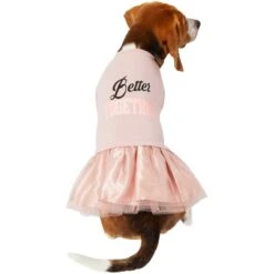 Frisco Better Together Dog & Cat Dress 11 Frisco Better Together Dog & Cat Dress -Frisco Sales Store 268652 PT2. AC SS1800 V1637672268