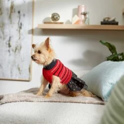 Frisco Chenille Knit Striped Dog & Cat Dress 14 Frisco Chenille Knit Striped Dog & Cat Dress -Frisco Sales Store 268668 PT5. AC SS1800 V1637675198