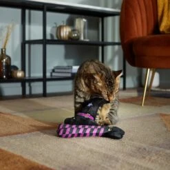 Frisco Halloween Witch Hat & Legs Plush Cat Toy With Catnip, 2 Count 8 Frisco Halloween Witch Hat & Legs Plush Cat Toy With Catnip, 2 Count -Frisco Sales Store 270305 PT3. AC SS1800 V1624817161