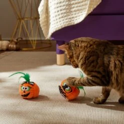 Frisco Halloween Nerdy Jack-o-Lanterns Plush Cat Toy With Catnip, 2 Count -Frisco Sales Store 270313 PT3. AC SS1800 V1624824951