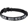 Frisco Nylon Personalized Breakaway Cat Collar With Bell -Frisco Sales Store 270731 MAIN. AC SS1800 V1619050045