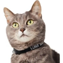 Frisco Nylon Personalized Breakaway Cat Collar With Bell -Frisco Sales Store 270731 PT3. AC SS1800 V1618936954