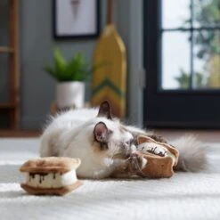Frisco Camping S'mores Plush Cat Toy With Catnip, 2 Count 7 Frisco Camping S'mores Plush Cat Toy With Catnip, 2 Count -Frisco Sales Store 270983 PT3. AC SS1800 V1625009062