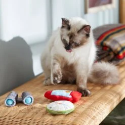 Frisco Camping Compass & Lantern Plush Cat Toy With Catnip, 2 Count -Frisco Sales Store 270985 PT3. AC SS1800 V1625009053