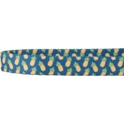 Frisco Pineapple Polyester Personalized Breakaway Cat Collar With Bell -Frisco Sales Store 271597 PT3. AC SS1800 V1618937222