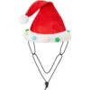 Frisco Holiday Poms Dog & Cat Santa Hat -Frisco Sales Store 276194 MAIN. AC SS1800 V1631302615