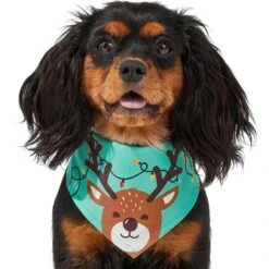Frisco Peekaboo Reindeer Dog & Cat Bandana -Frisco Sales Store 276198 PT3. AC SS1800 V1637687013