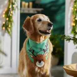 Frisco Peekaboo Reindeer Dog & Cat Bandana -Frisco Sales Store 276198 PT5. AC SS1800 V1637644939